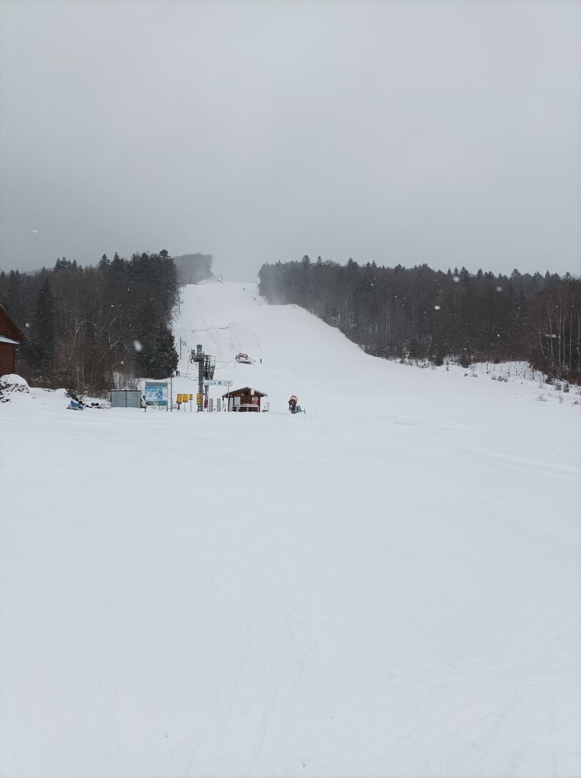 IMG_20220122_103130.jpg