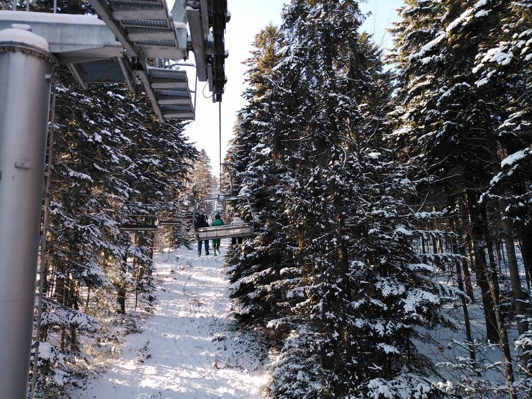 IMG_20220124_123523.jpg