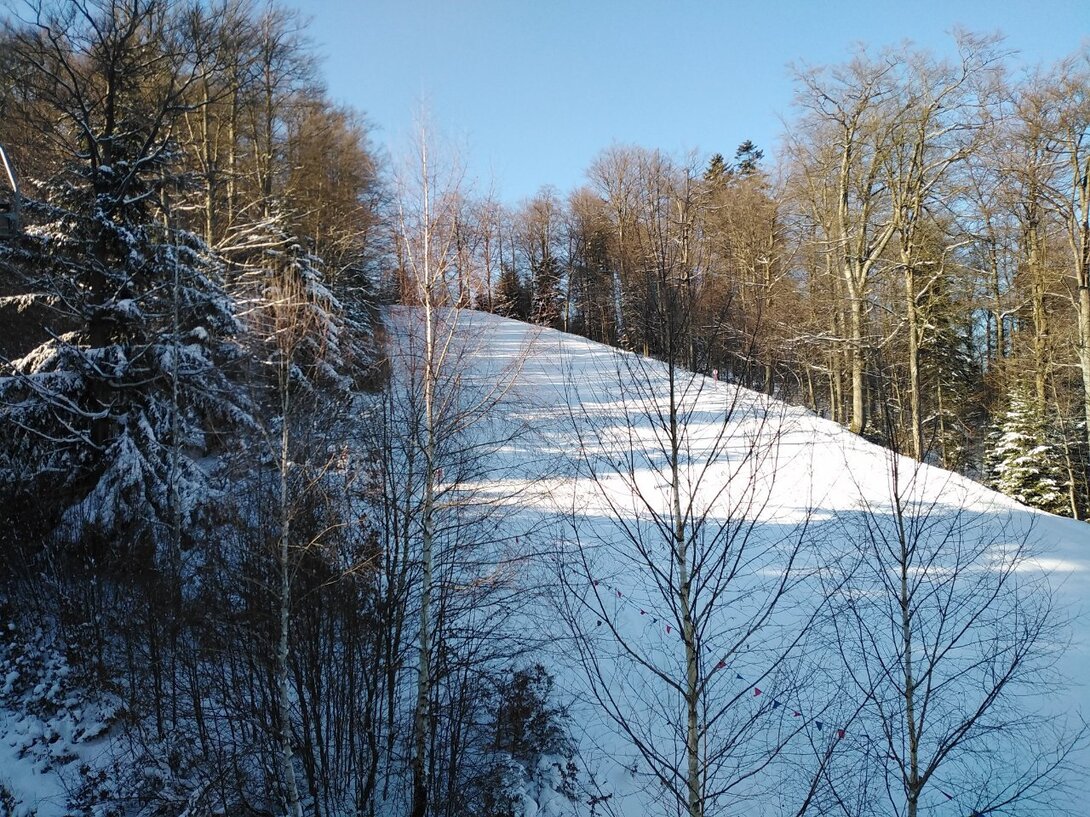 IMG_20220124_123816.jpg