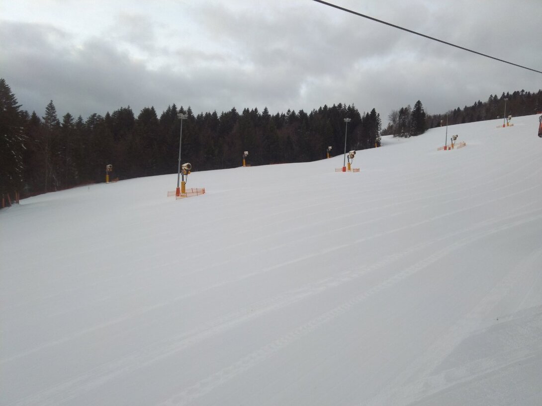 IMG_20220131_080503.jpg