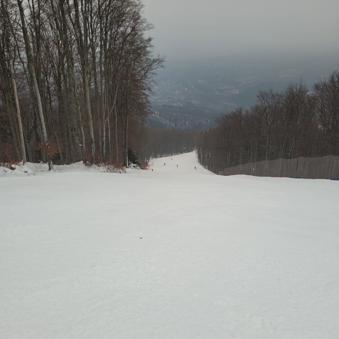 SAVE_20220114_105611.jpg