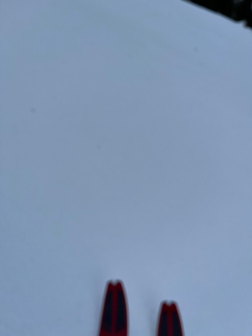 606C830B-96EF-4860-A5F9-DA00602977D2.jpeg