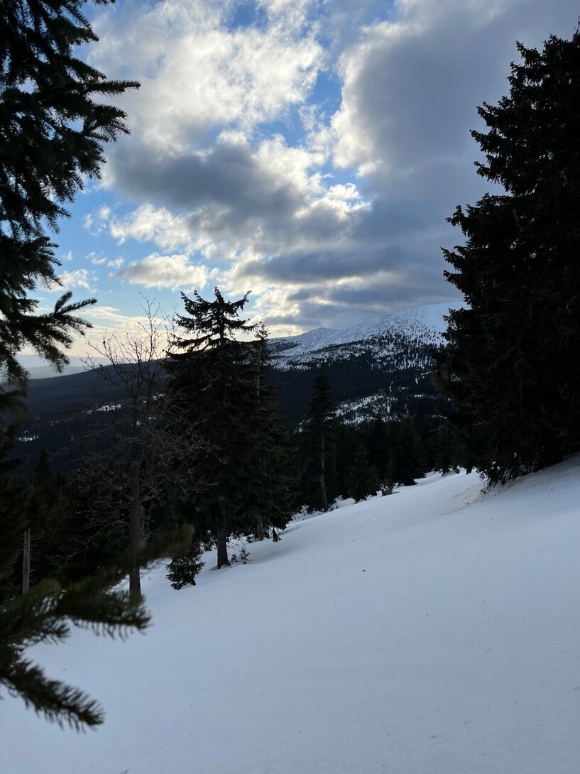 D1CFF4A2-5164-44A2-B1A0-5134470EBC95.jpeg
