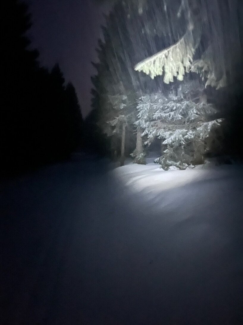 DE9CDEEB-8656-4516-B5DC-143603B32D20.jpeg