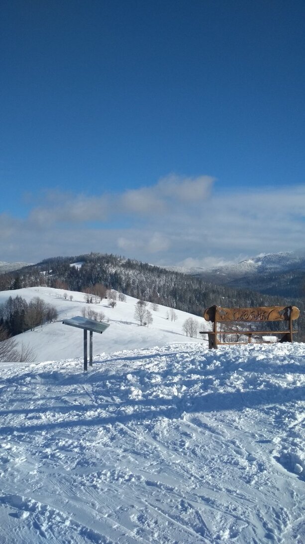 IMG_20220203_134258.jpg
