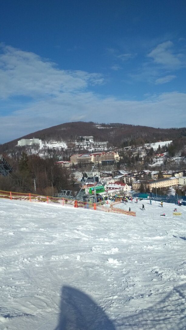 IMG_20220208_115949.jpg