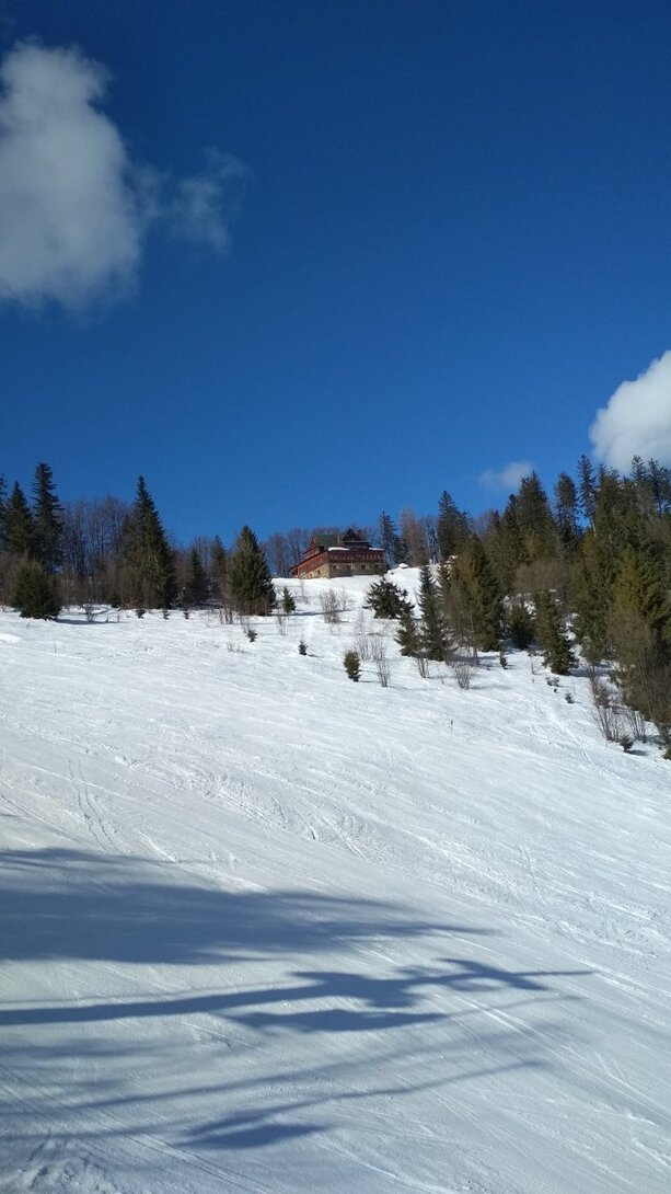 IMG_20220218_111505.jpg
