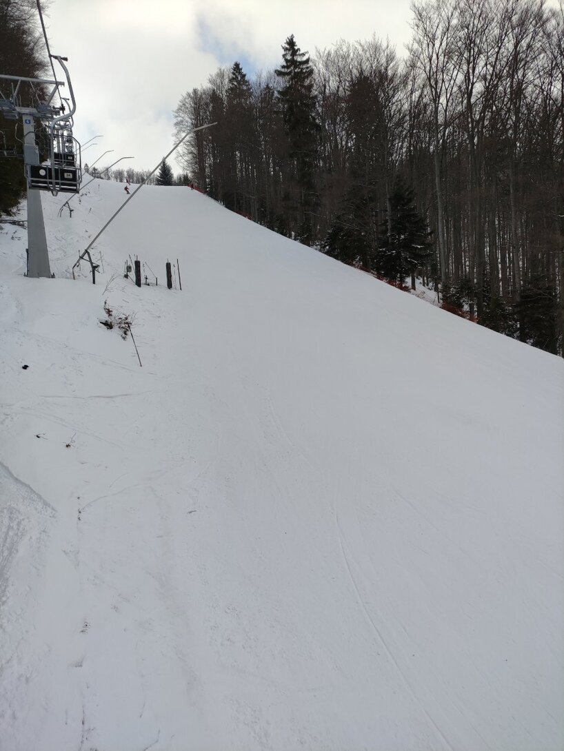 IMG_20220227_101323.jpg