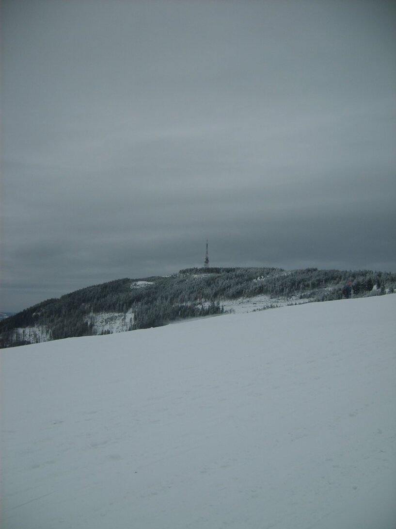 S5003652.JPG