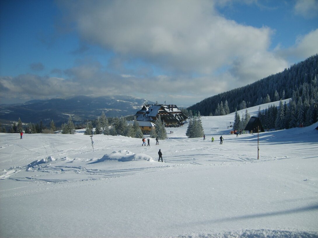 S5003747.JPG