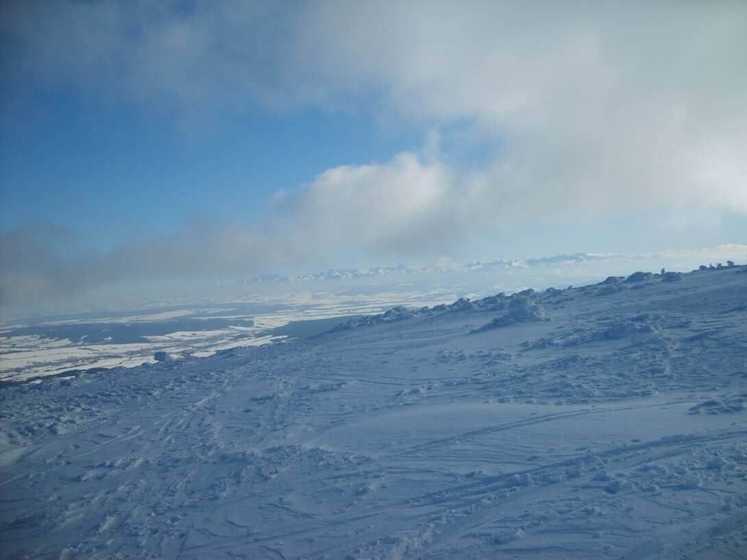 S5003755.JPG