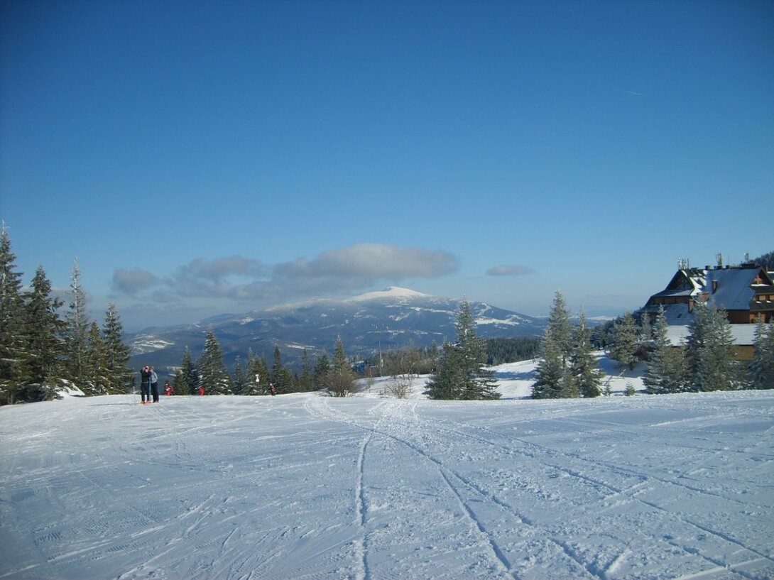 S5003758.JPG