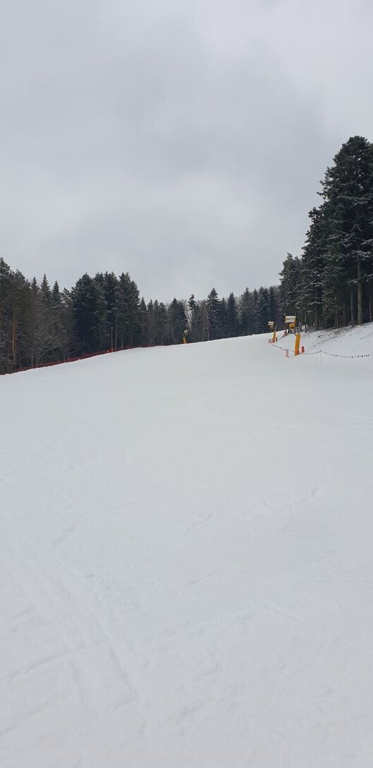 20220306_102719.jpg