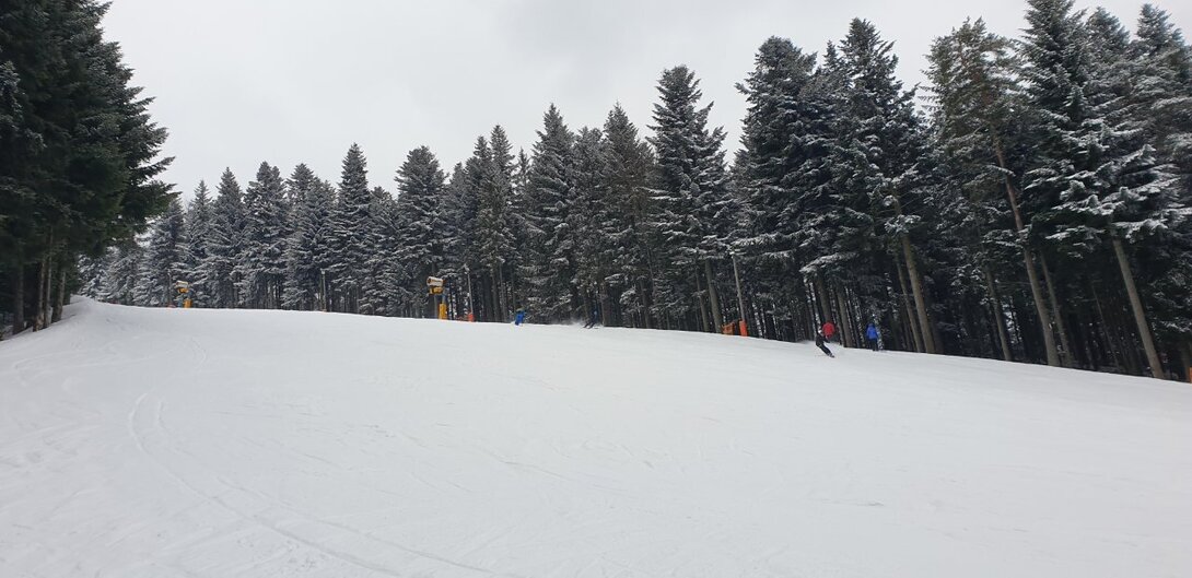 20220306_113834.jpg