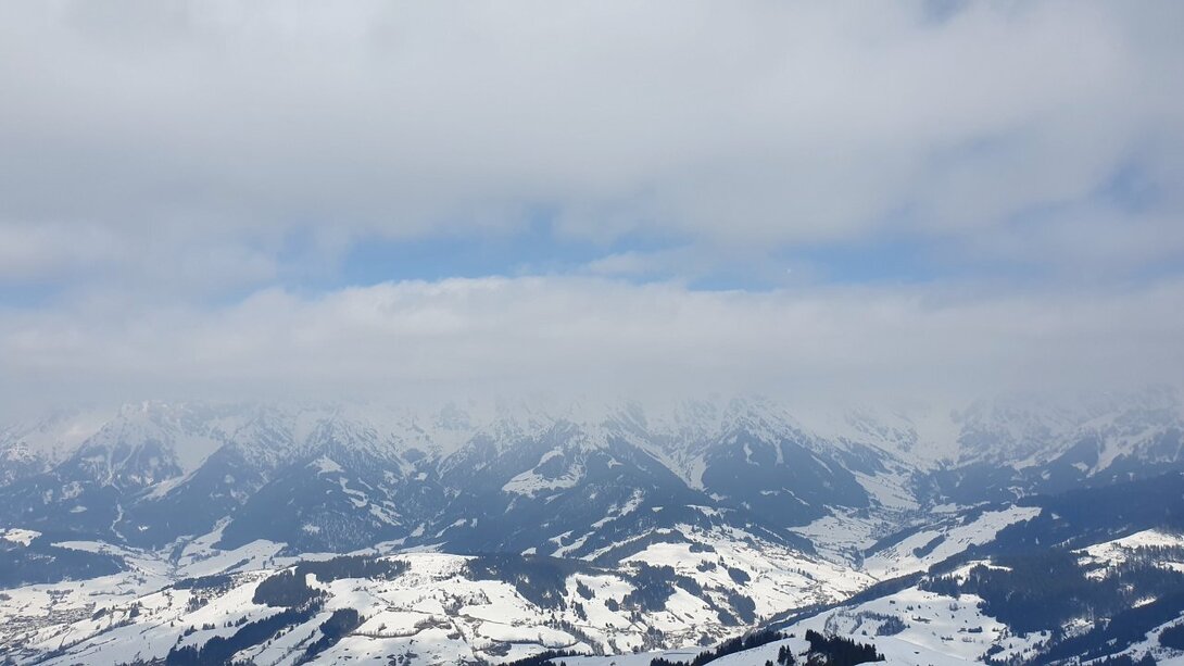 20220307_123724.jpg