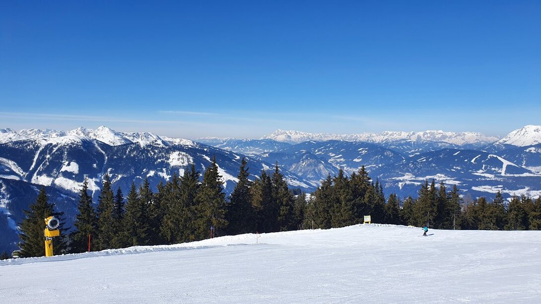 20220308_101259.jpg