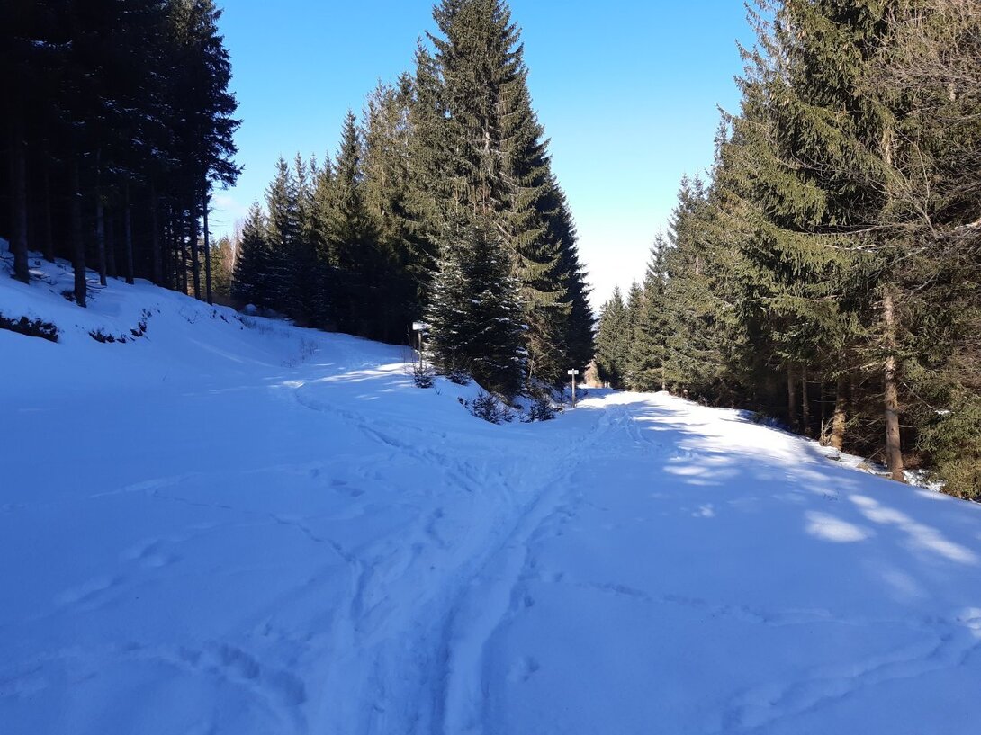 20220309_095653.jpg