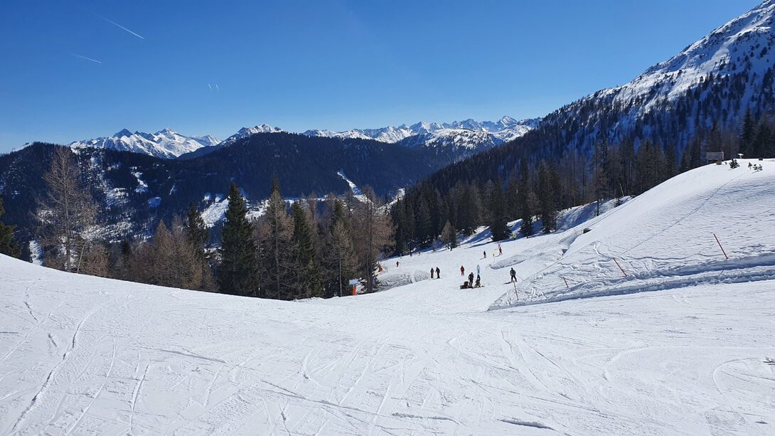 20220310_110348.jpg