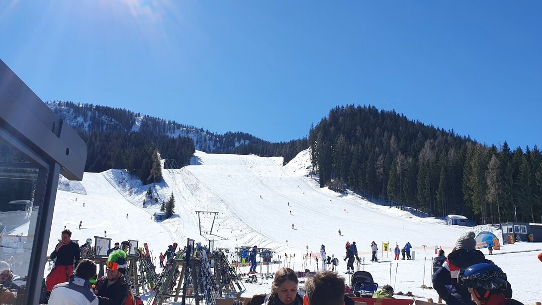 20220310_114950.jpg