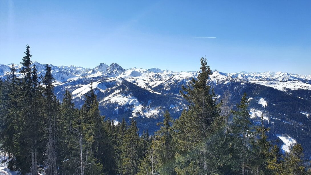 20220310_124934.jpg