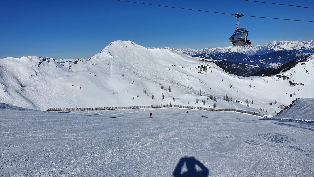 20220311_090947.jpg