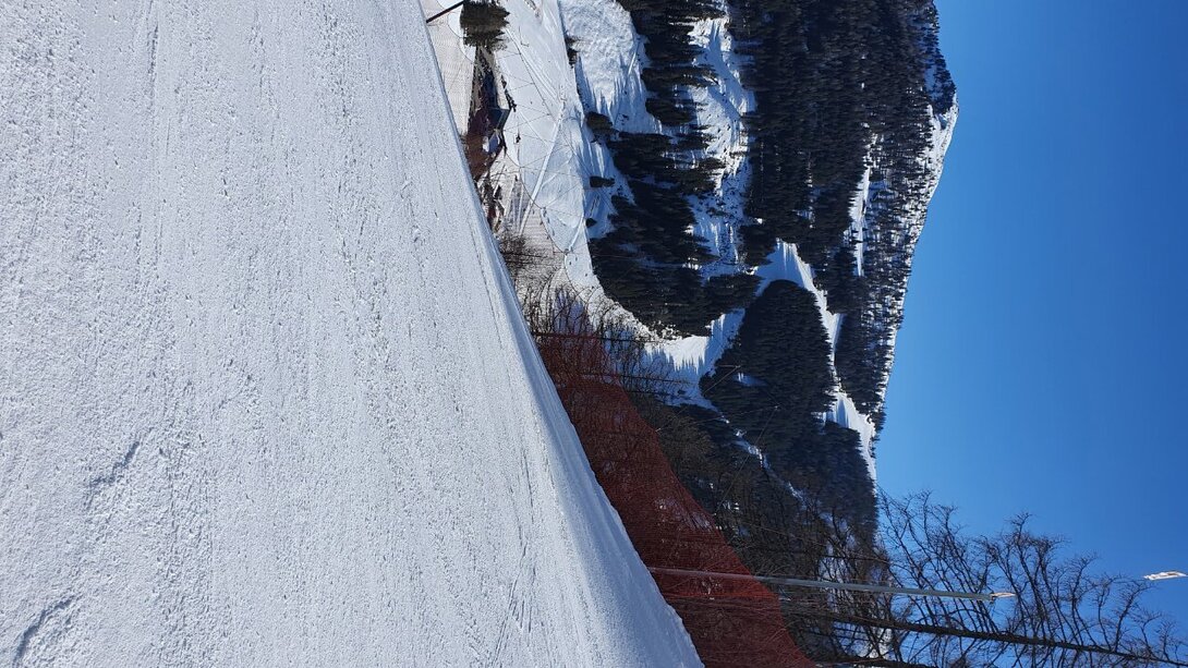 20220311_095839.jpg