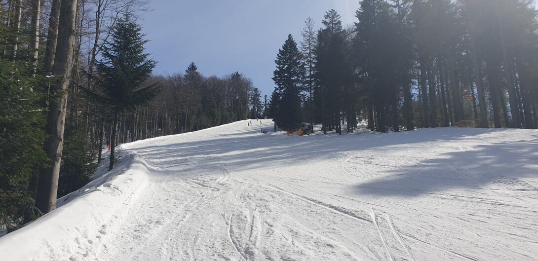 20220312_120216.jpg