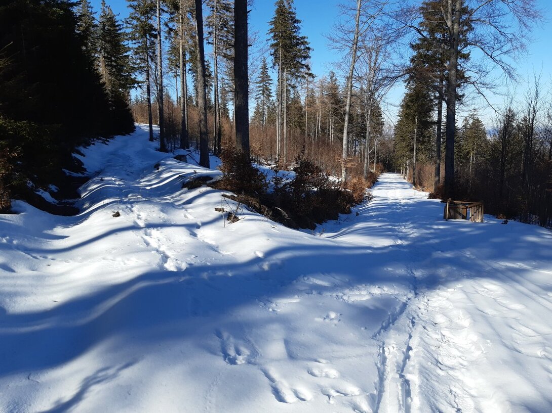 20220312_142329.jpg