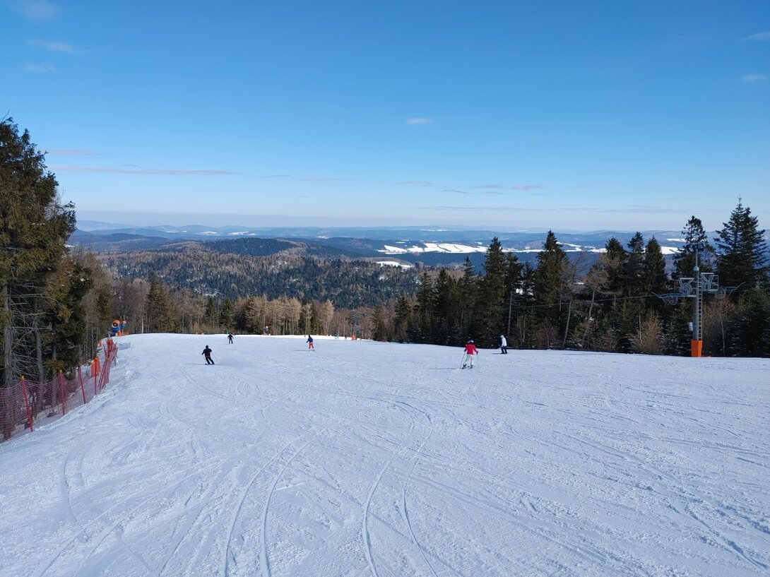 20220313_114156.thumb.jpg.3a610c4cc3b79a1bfa045026d02a6762.jpg