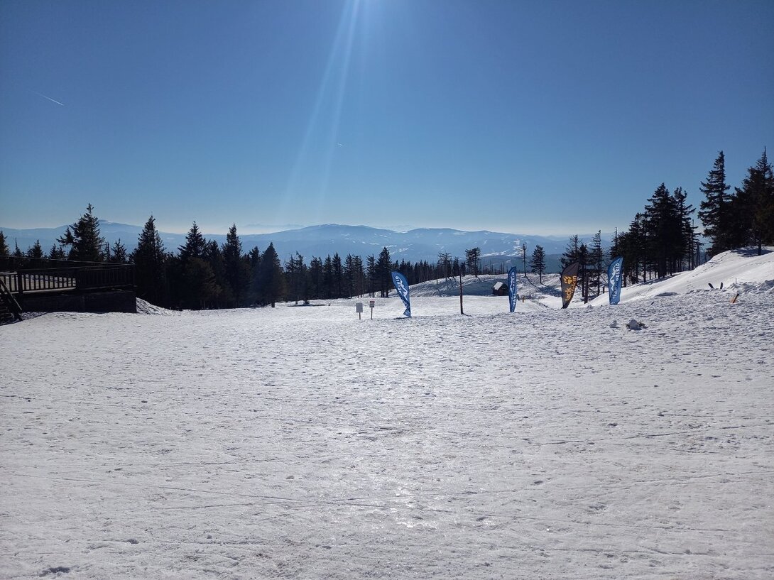 20220314_091312.jpg