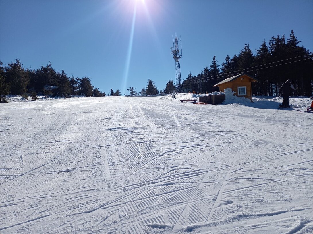 20220314_092959.jpg