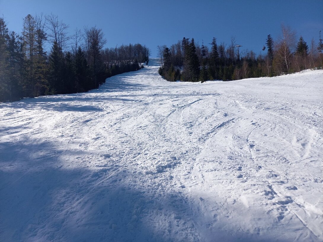 20220314_093320.jpg