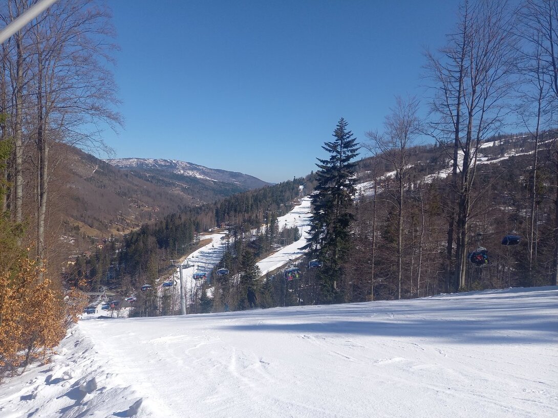 20220314_102631.jpg