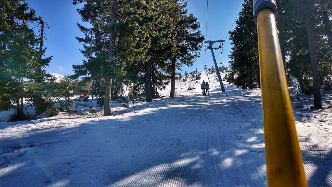 20220326_103540-01.jpeg