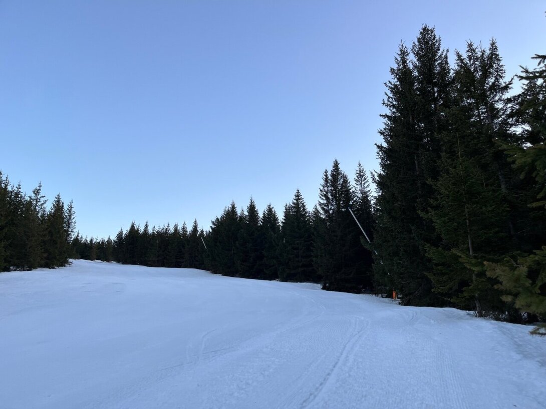 A0759B37-69C7-400A-A829-358F39F06A2C.jpeg