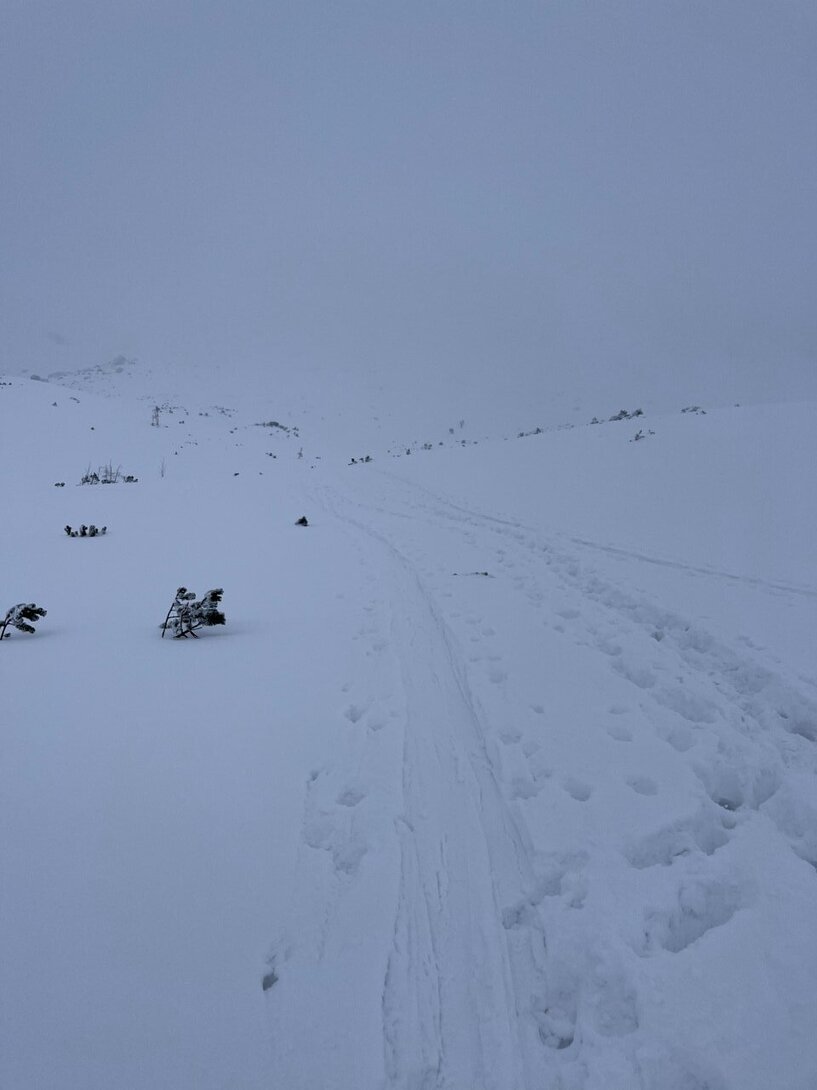 IMG-1433.jpg