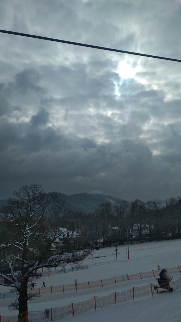 IMG_20220305_093901.jpg