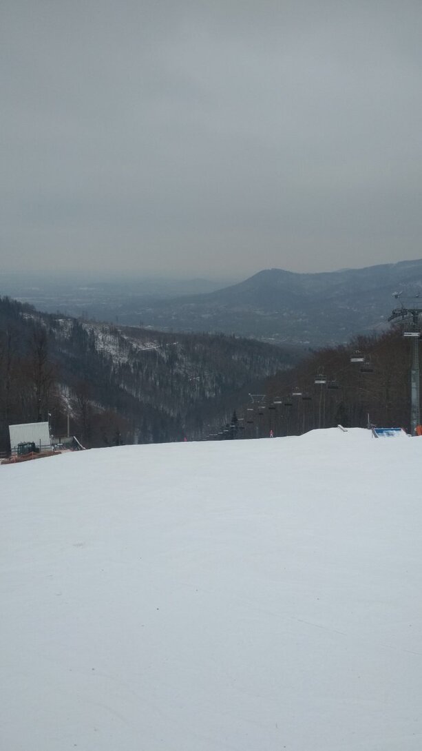 IMG_20220306_135522.jpg