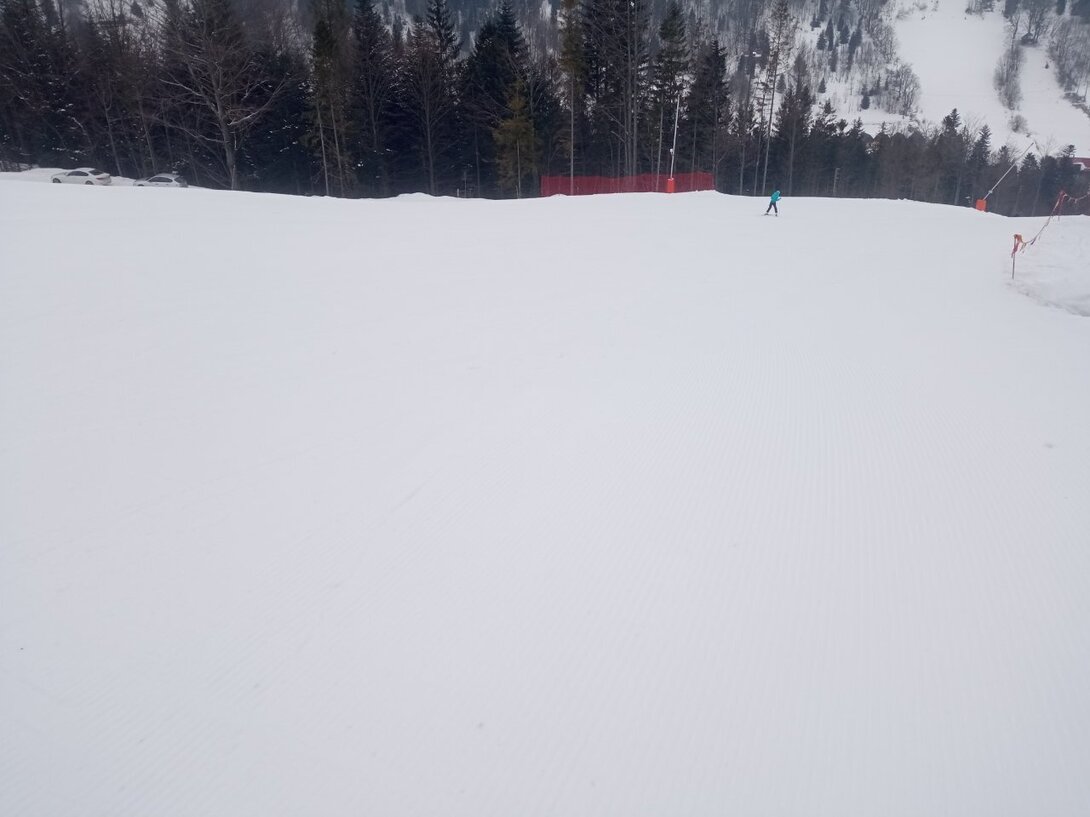 IMG_20220308_102110.thumb.jpg.25681f26f658edd9e75acf8ed90352a0.jpg