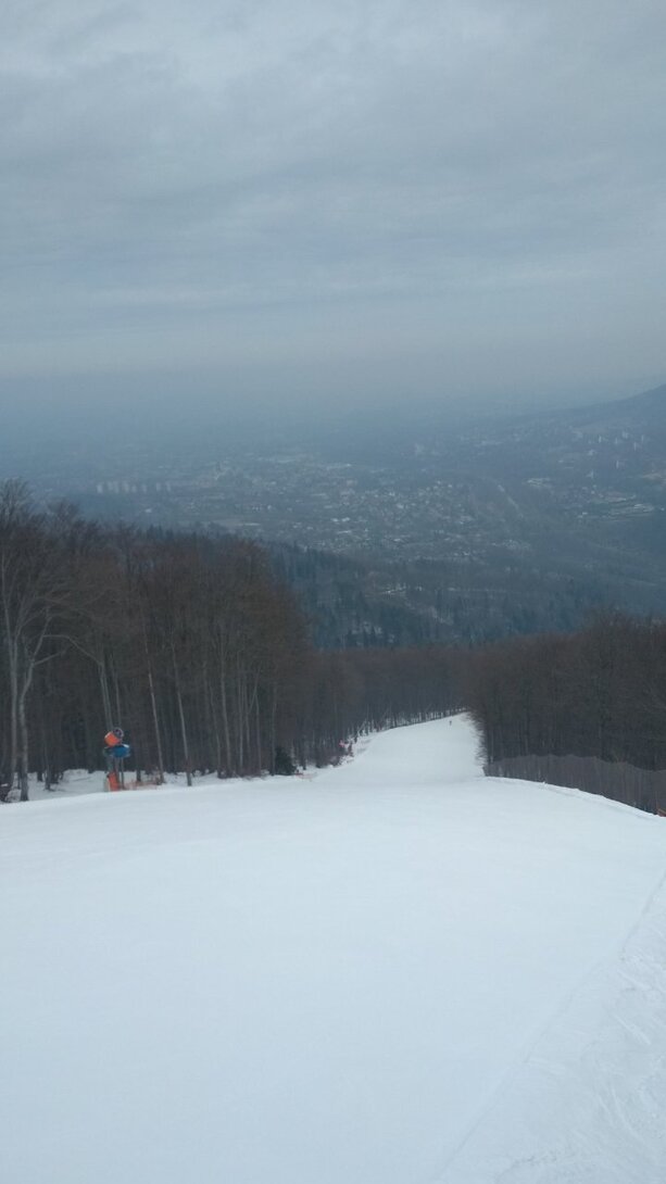 IMG_20220309_095414.jpg