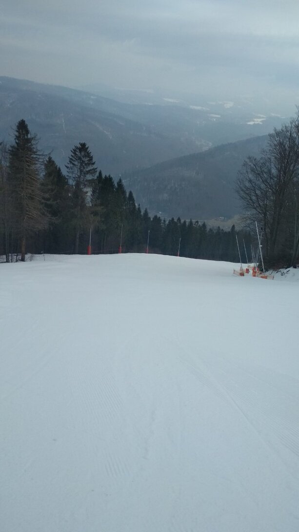 IMG_20220309_101057.jpg
