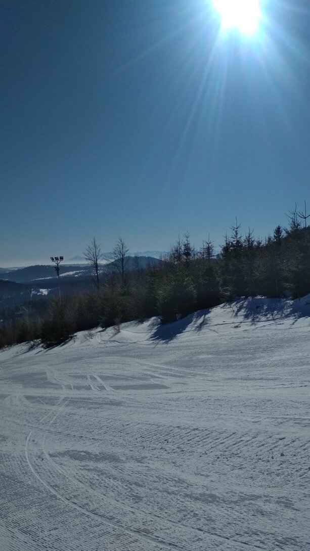 IMG_20220311_092436.jpg