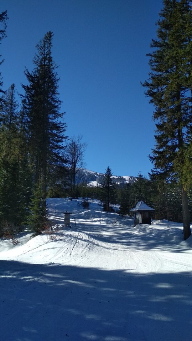 IMG_20220311_094313.jpg