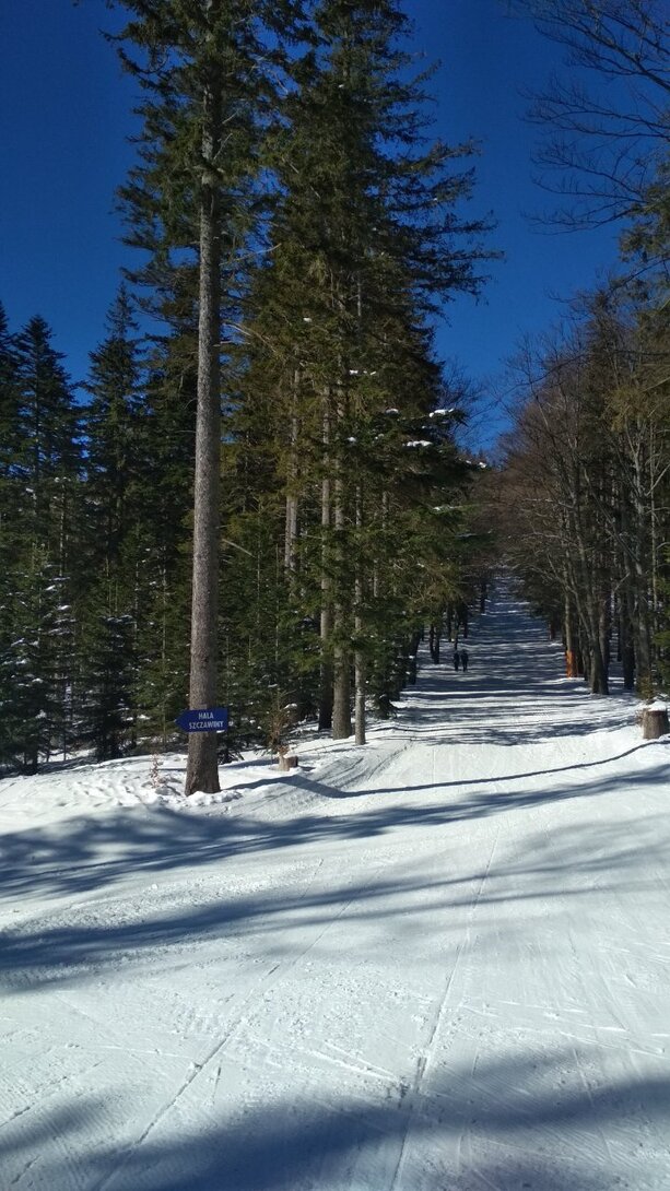 IMG_20220311_095017.jpg