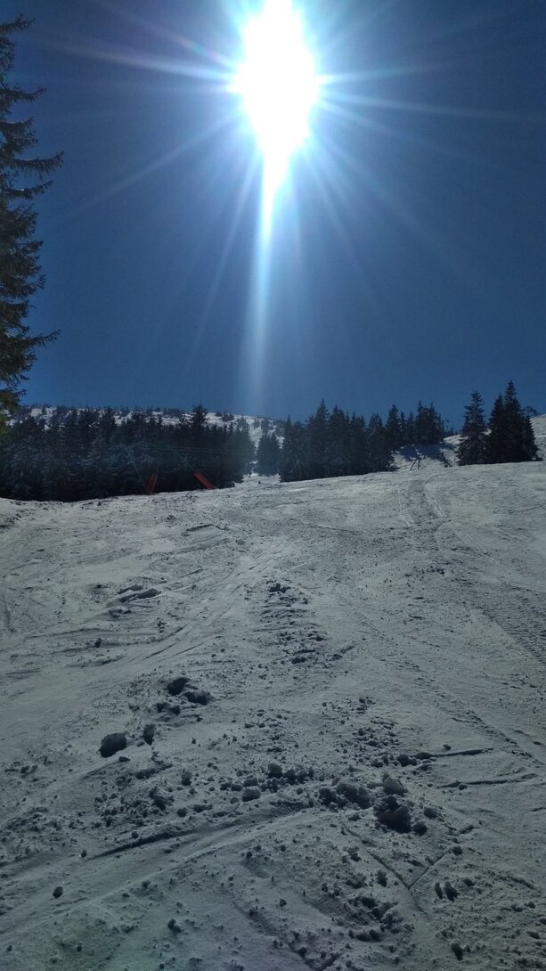 IMG_20220311_110224.jpg