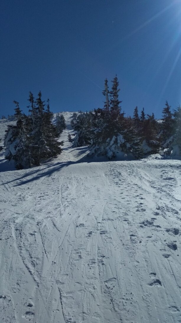 IMG_20220311_111850.jpg