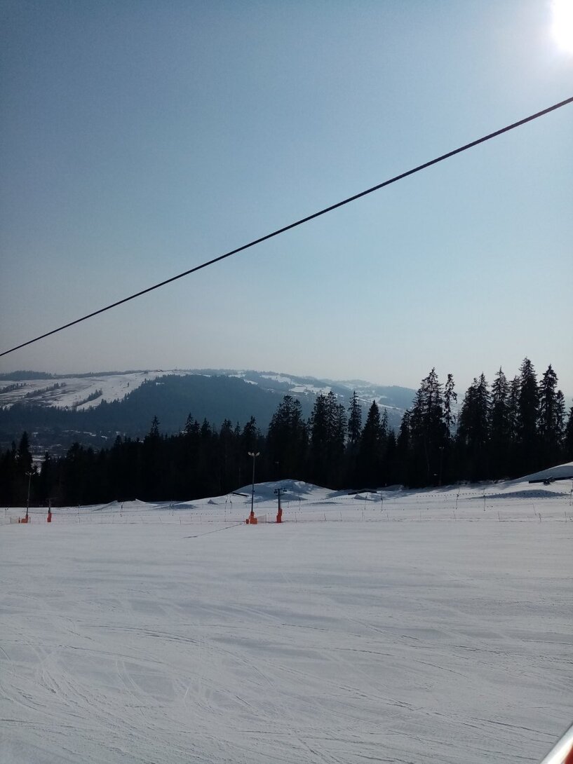 IMG_20220318_091809.jpg