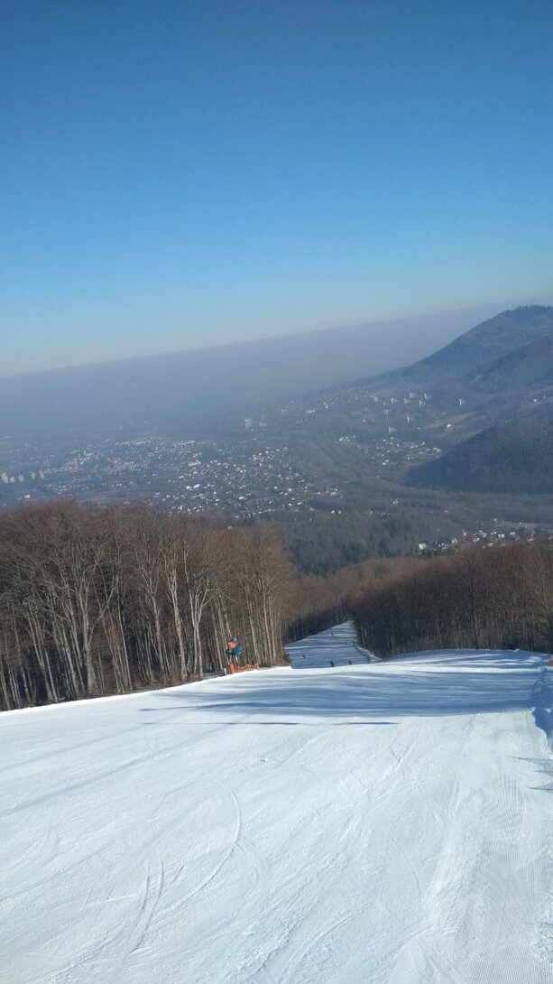 IMG_20220319_083821.jpg