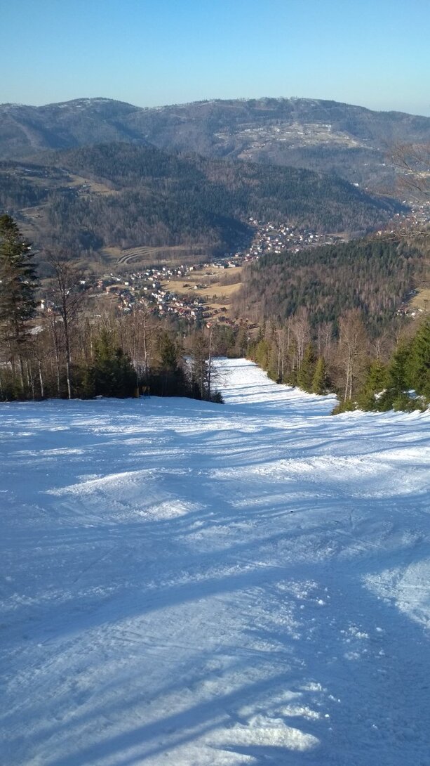 IMG_20220323_154948.jpg