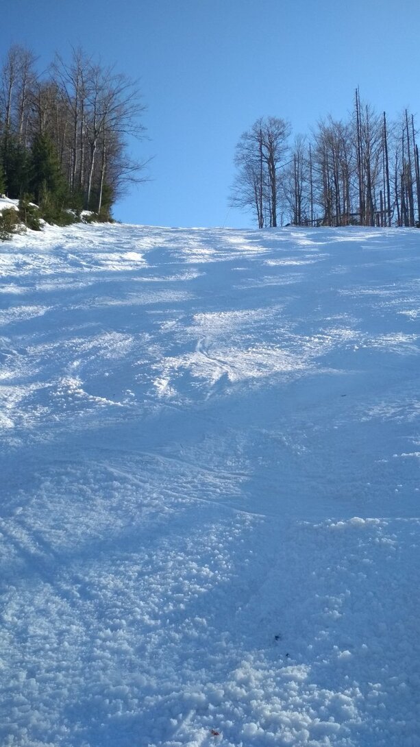 IMG_20220323_155037.jpg
